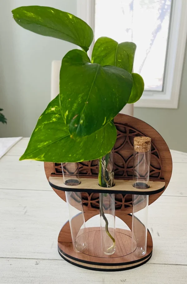 Propogation station with 3 tubes for cuttings - Image 6