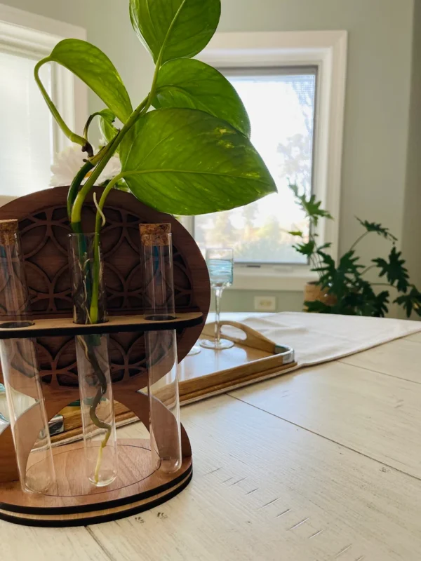 Propogation station with 3 tubes for cuttings - Image 4